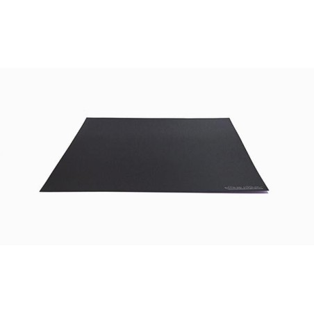 Raise3D Build Surface Pro3